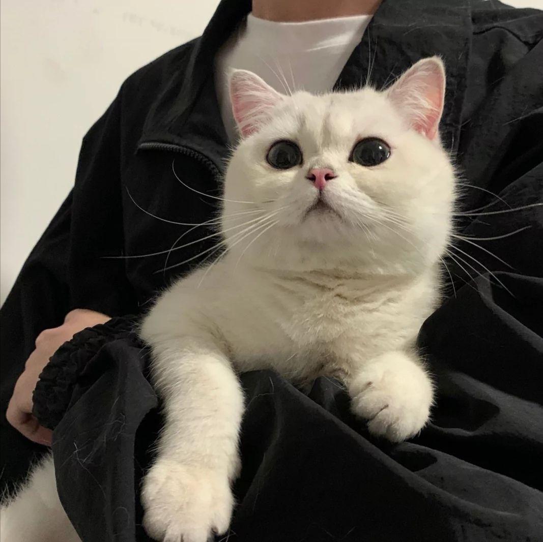 有没有你看到就忍不住收藏的好看的男生头像啊