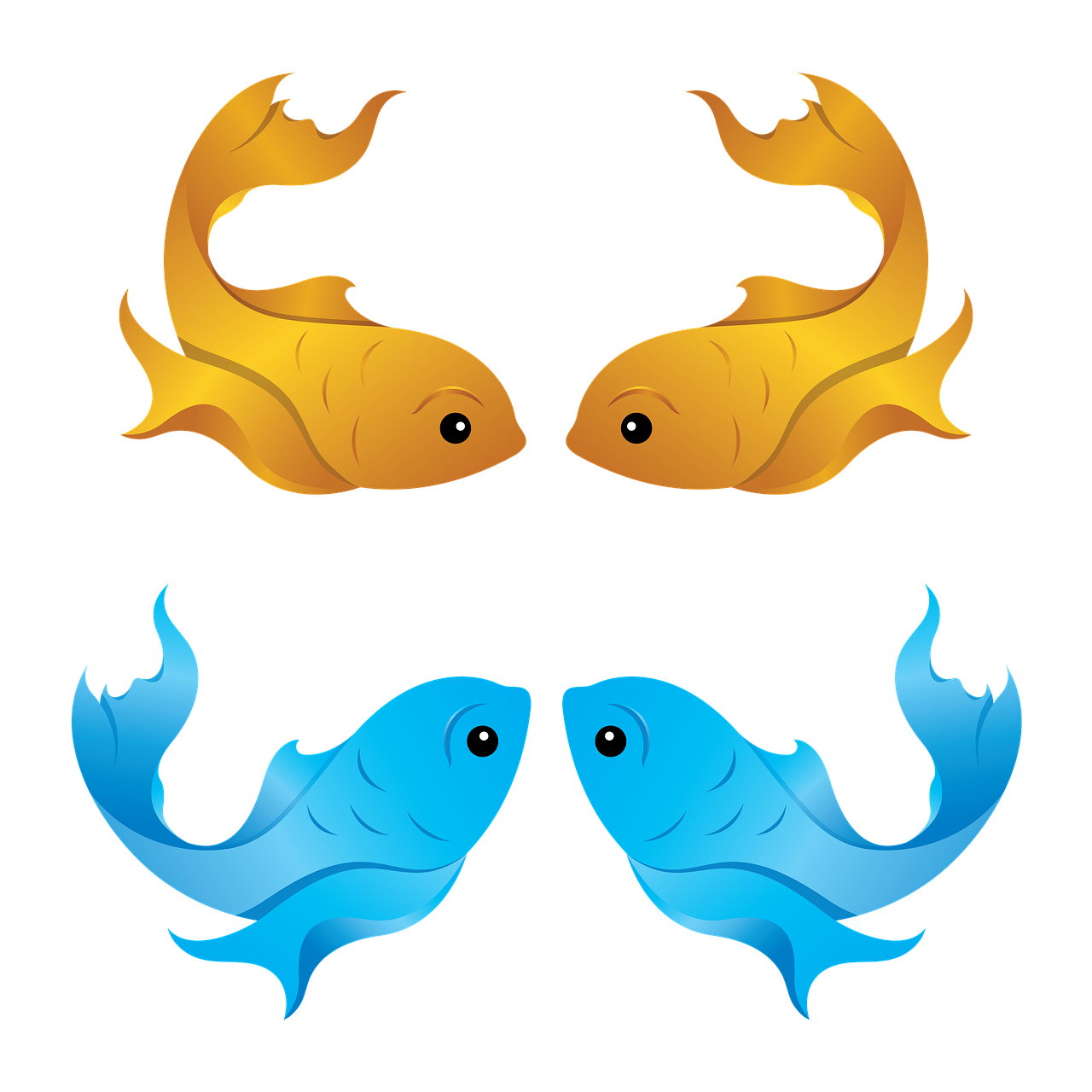 澳龙广场里有什么