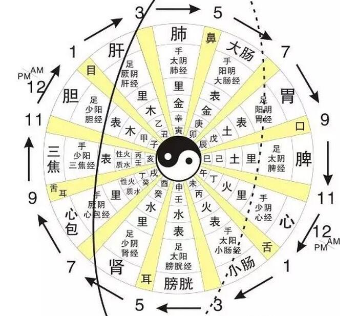 什么是周天？如何通大小周天_丹道周天与气功周天 - 知乎