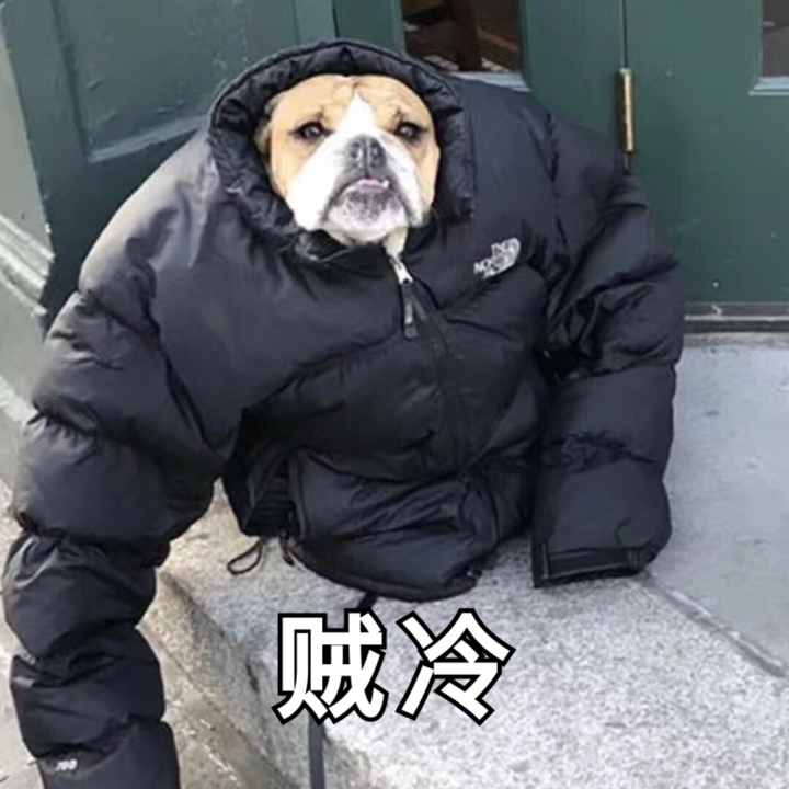 有没有体现天气冷的表情包呀? - 知乎