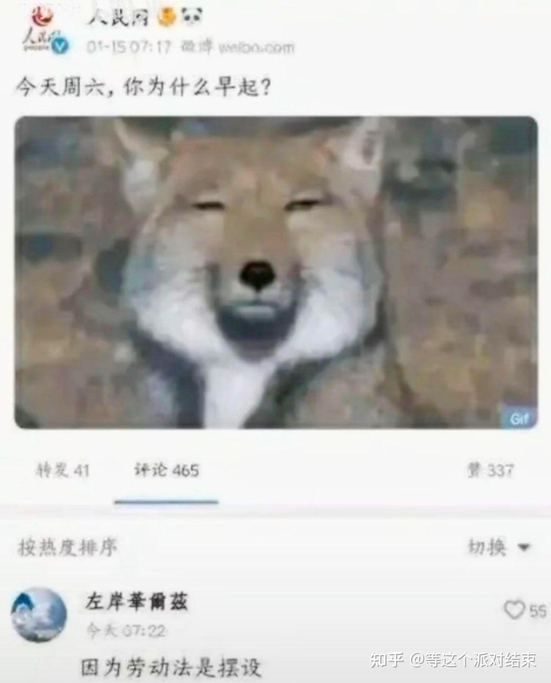 请发一张你最难绷的图片? - 知乎