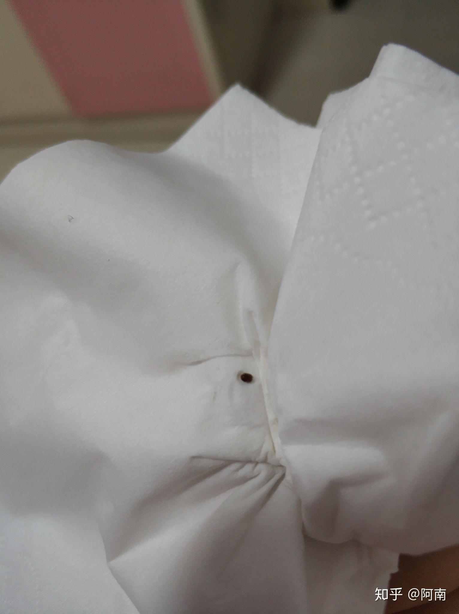 宿舍里有小飞虫,椭圆形,深褐色,有硬壳,爬行慢,这是什么虫子? - 知乎