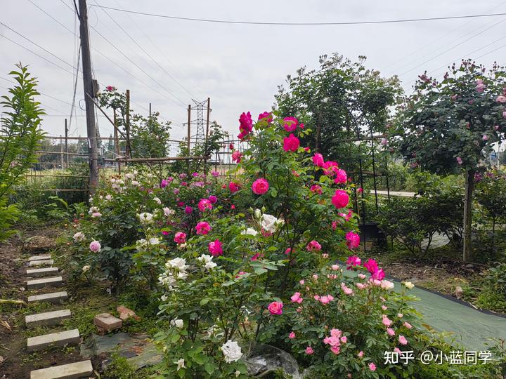 人，可以废物到什么程度？