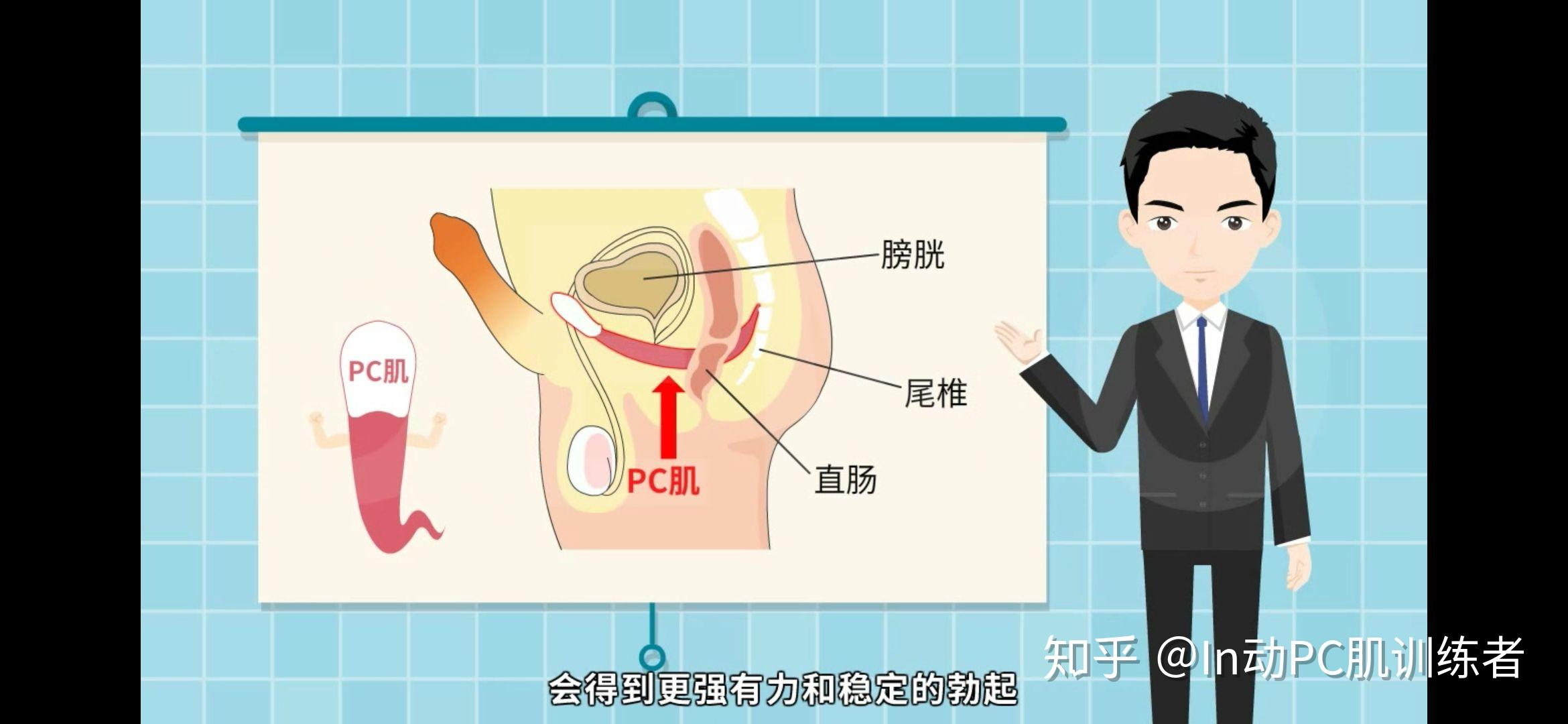 請問鍛鍊pc肌和提肛的區別