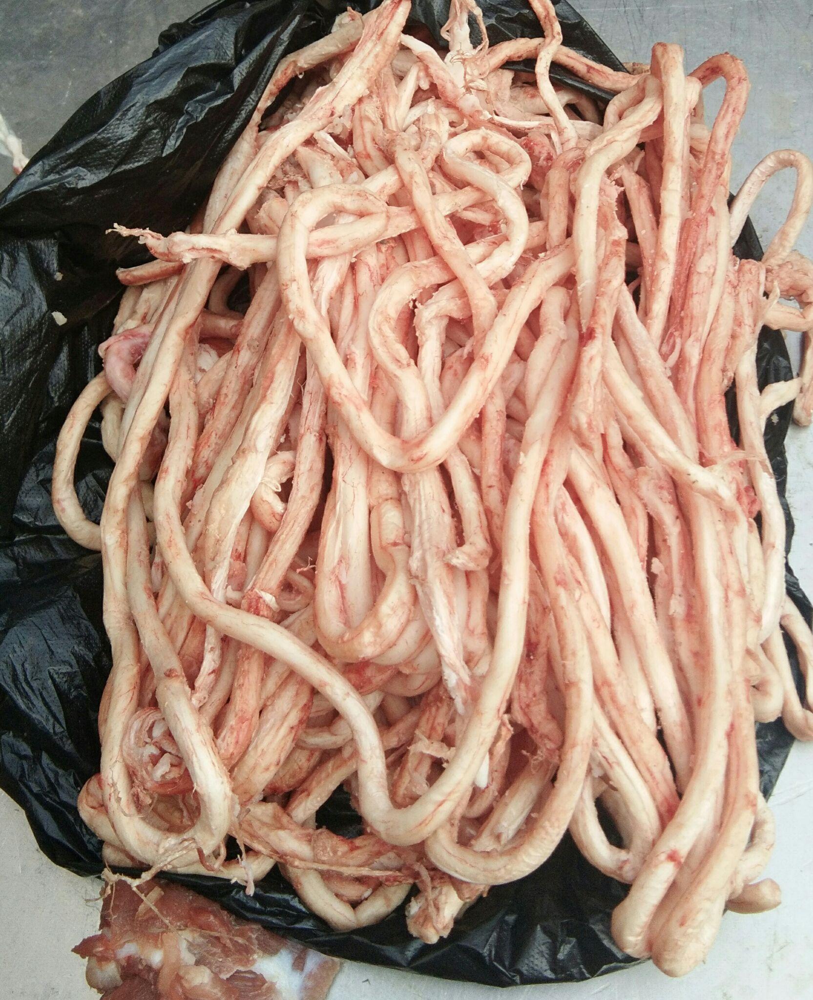 今天熬汤,猪骨头的骨髓是绿色的,这猪怎么了?
