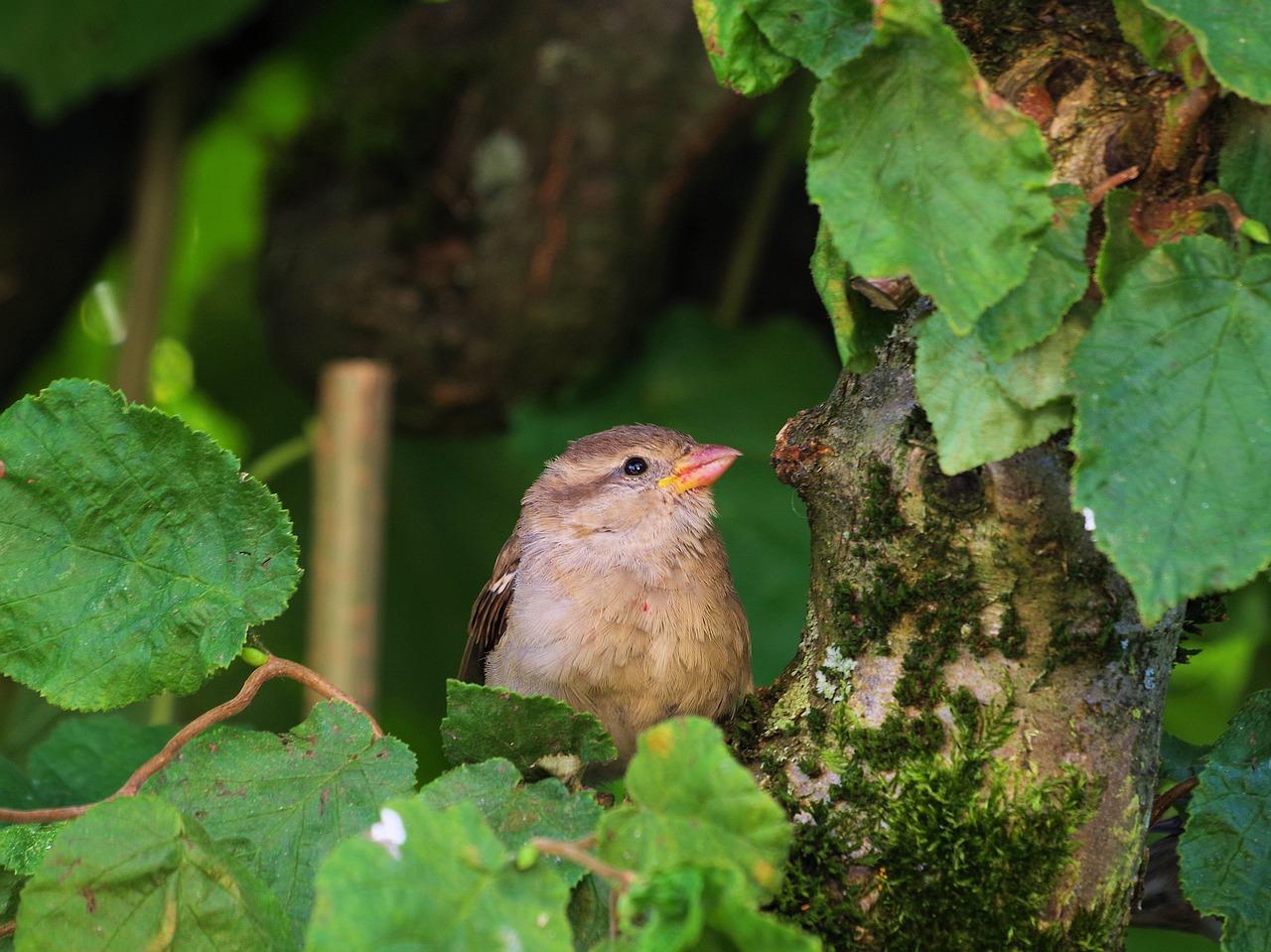 2. 屋顶通风口疏漏