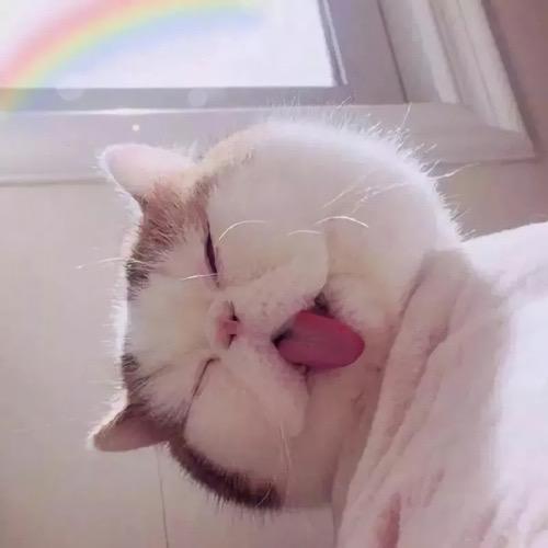 有没有什么惊艳的微信头像?-特别惊艳到人的微信头像