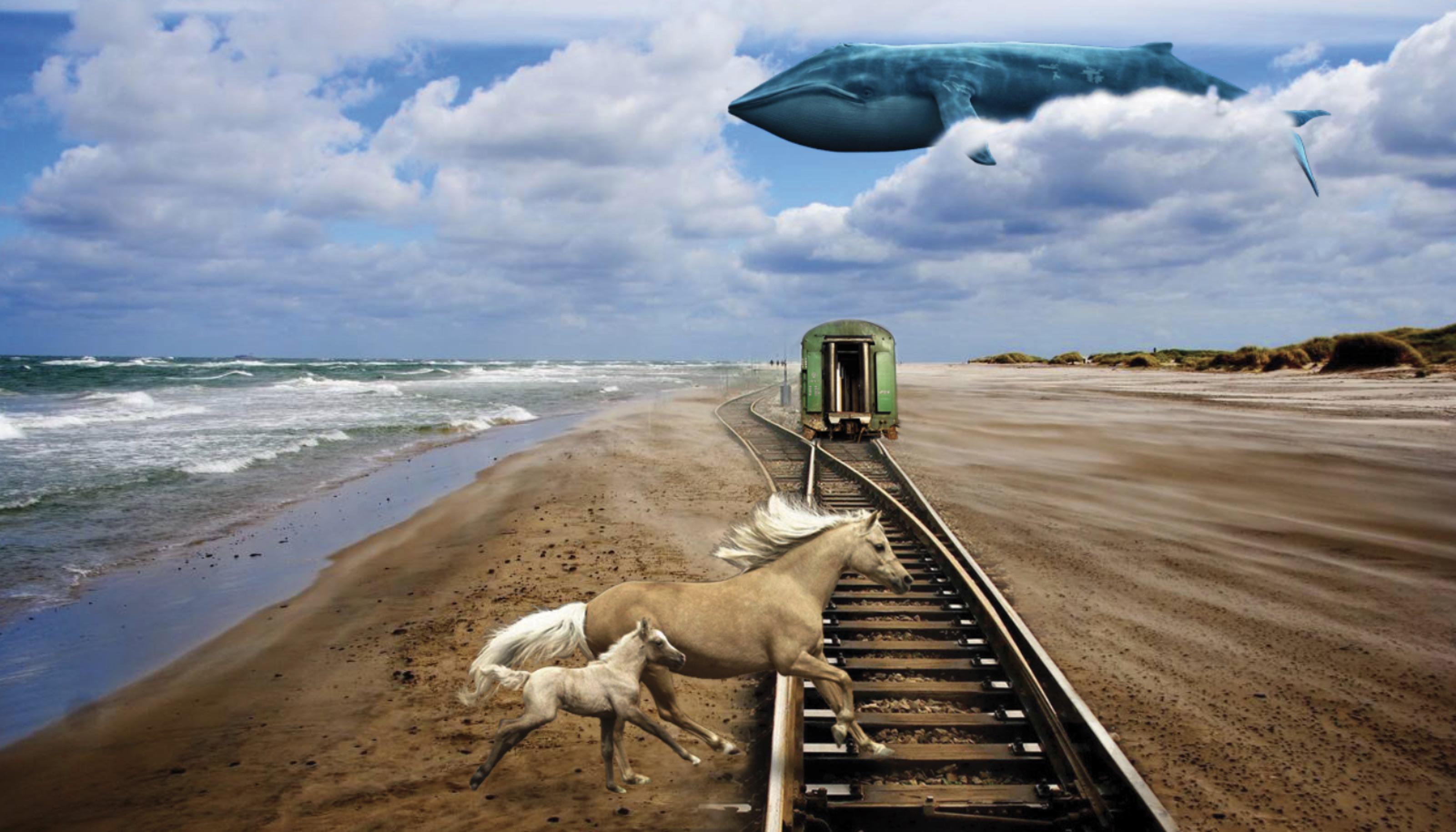 这种超现实主义图片怎么制作? - 知乎