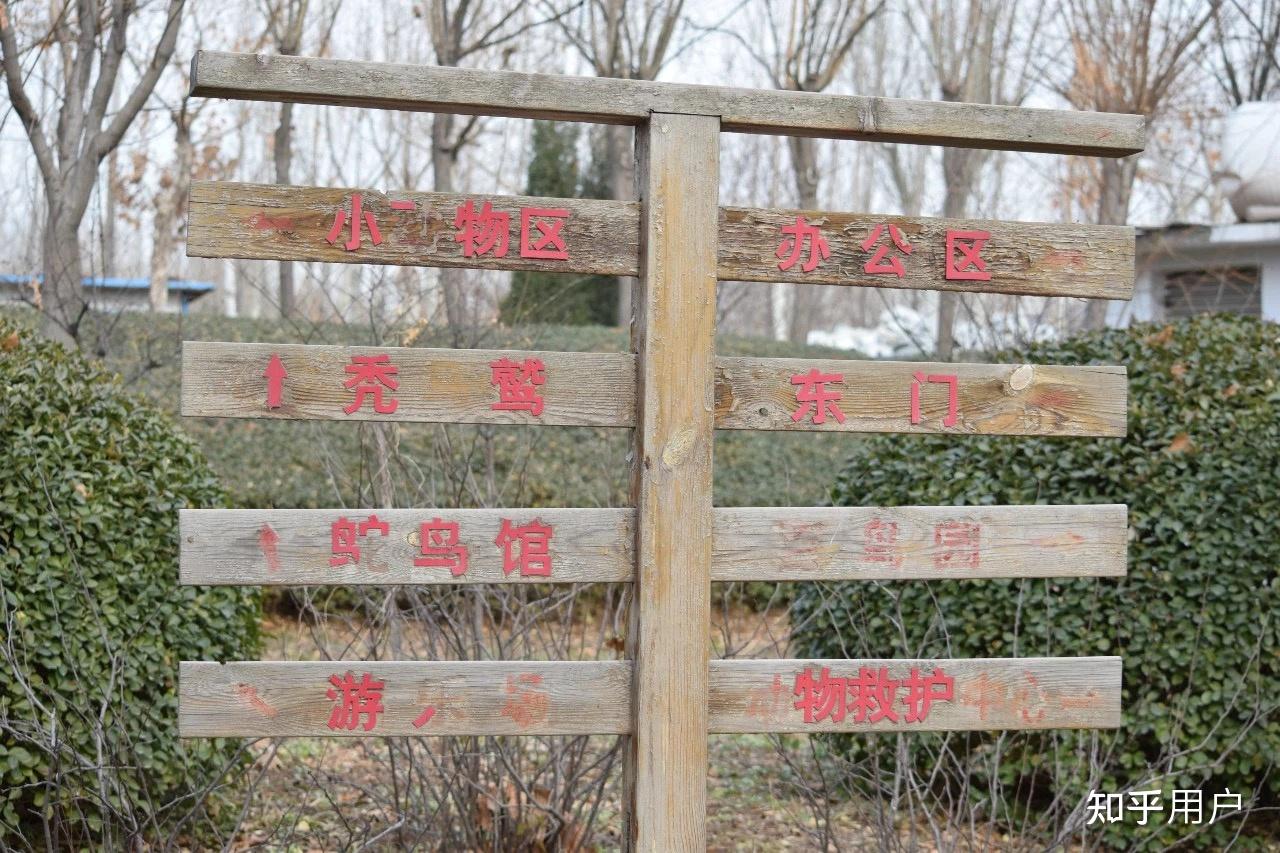 怎麼解讀a島上的動物園規則怪談