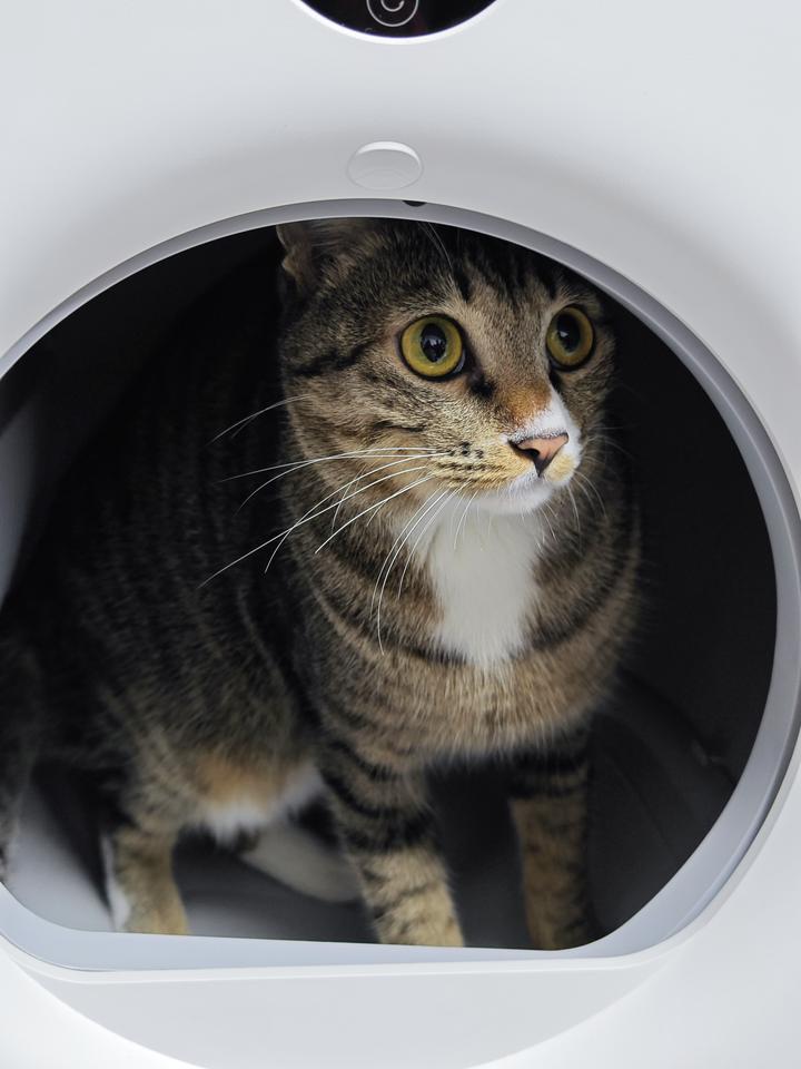 自动猫砂盆真的是铲屎官的福音!——小顽智能全自动猫砂盆完全体验 - 知乎