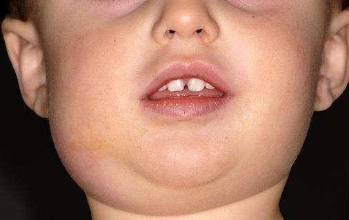 有哪些知道后让你震惊的冷知识