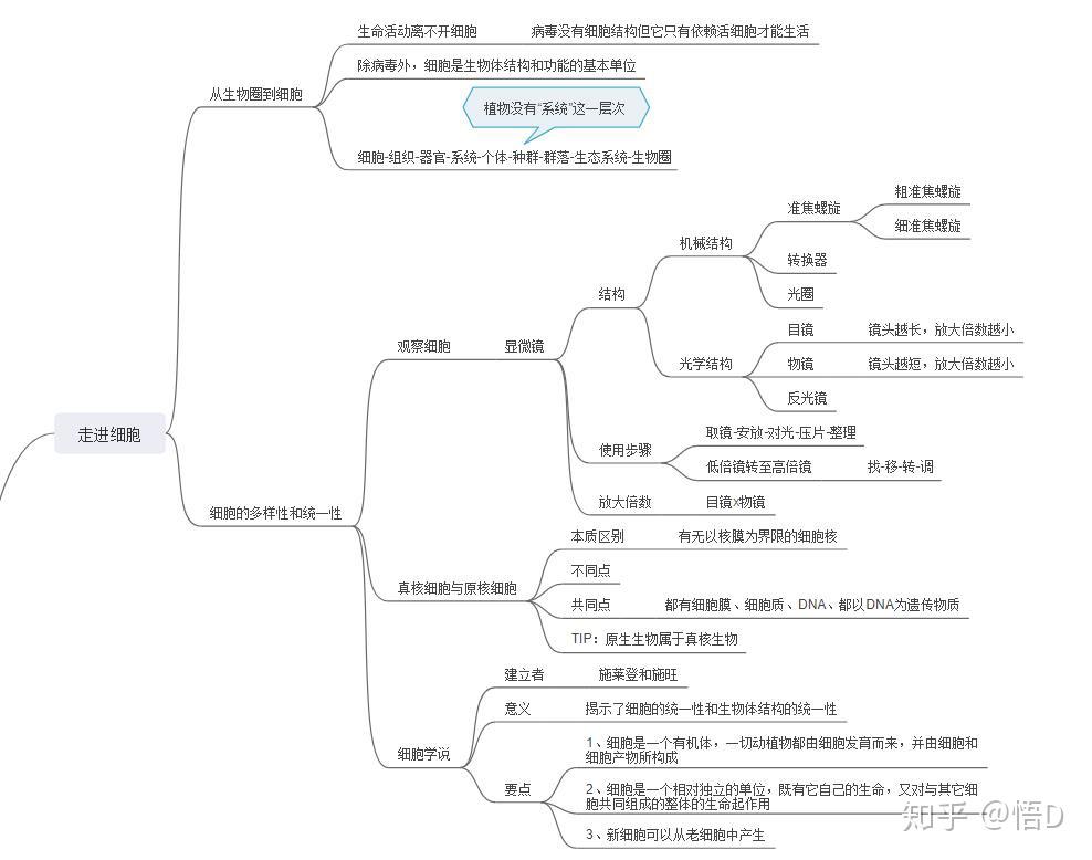 生物高中必修一第一單元知識點總結思維導圖怎麼做?