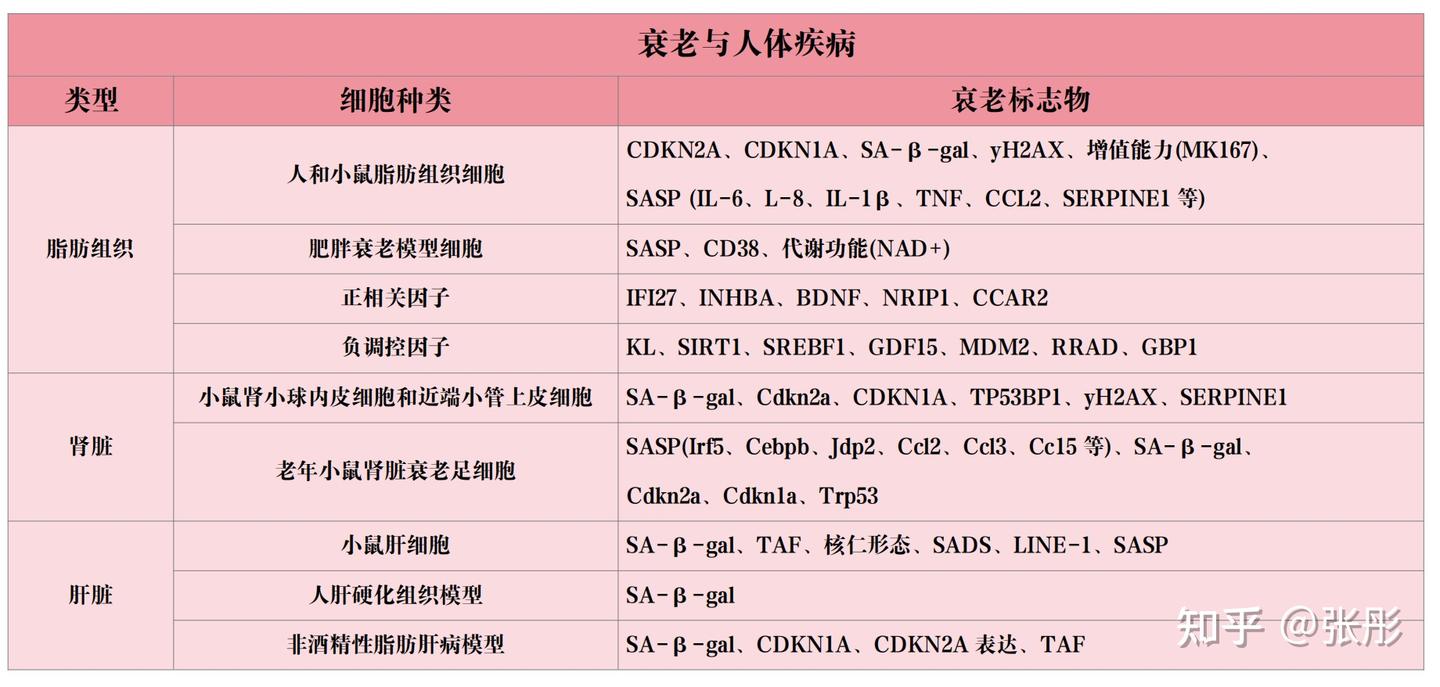 衰老与人体疾病（对应衰老标志物） - 知乎