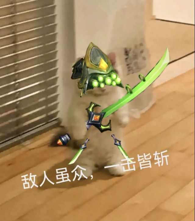 你都有哪些英雄联盟魔法猫咪的表情包