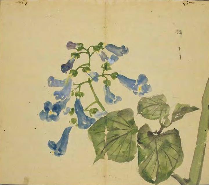61天读完《诗经》Day10:《墙有茨》《君子偕老》《桑中》《鹑之奔奔》《定之方中》 - 知乎
