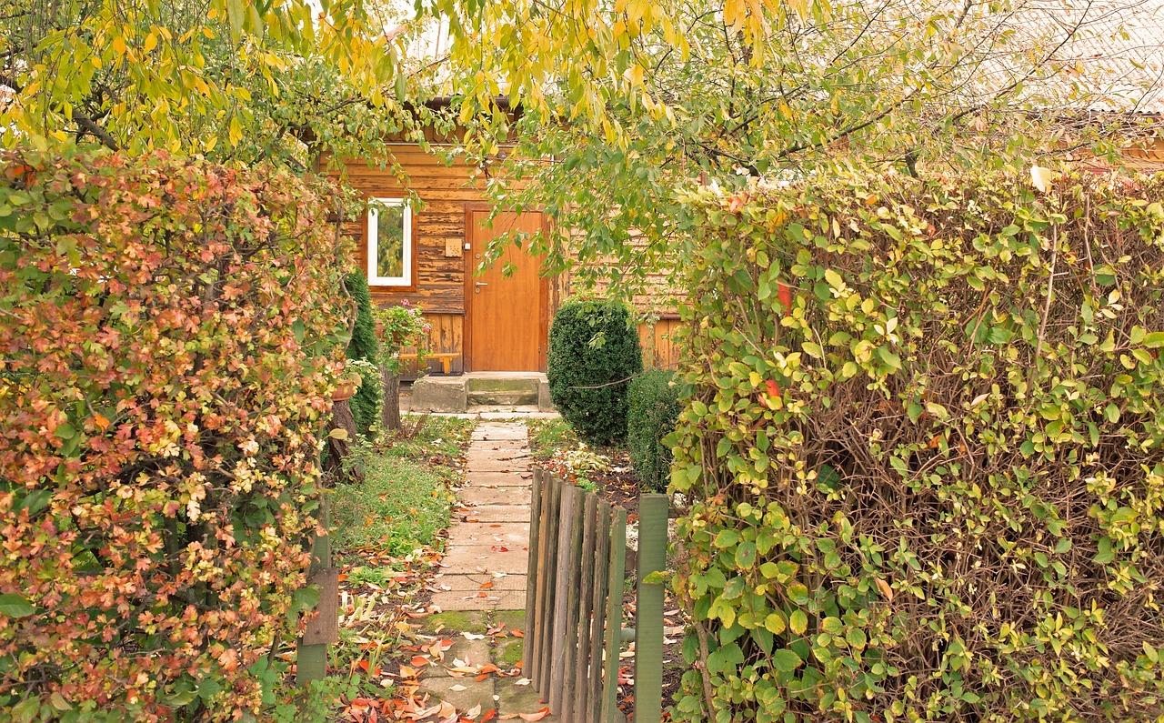 深藏不露的才情