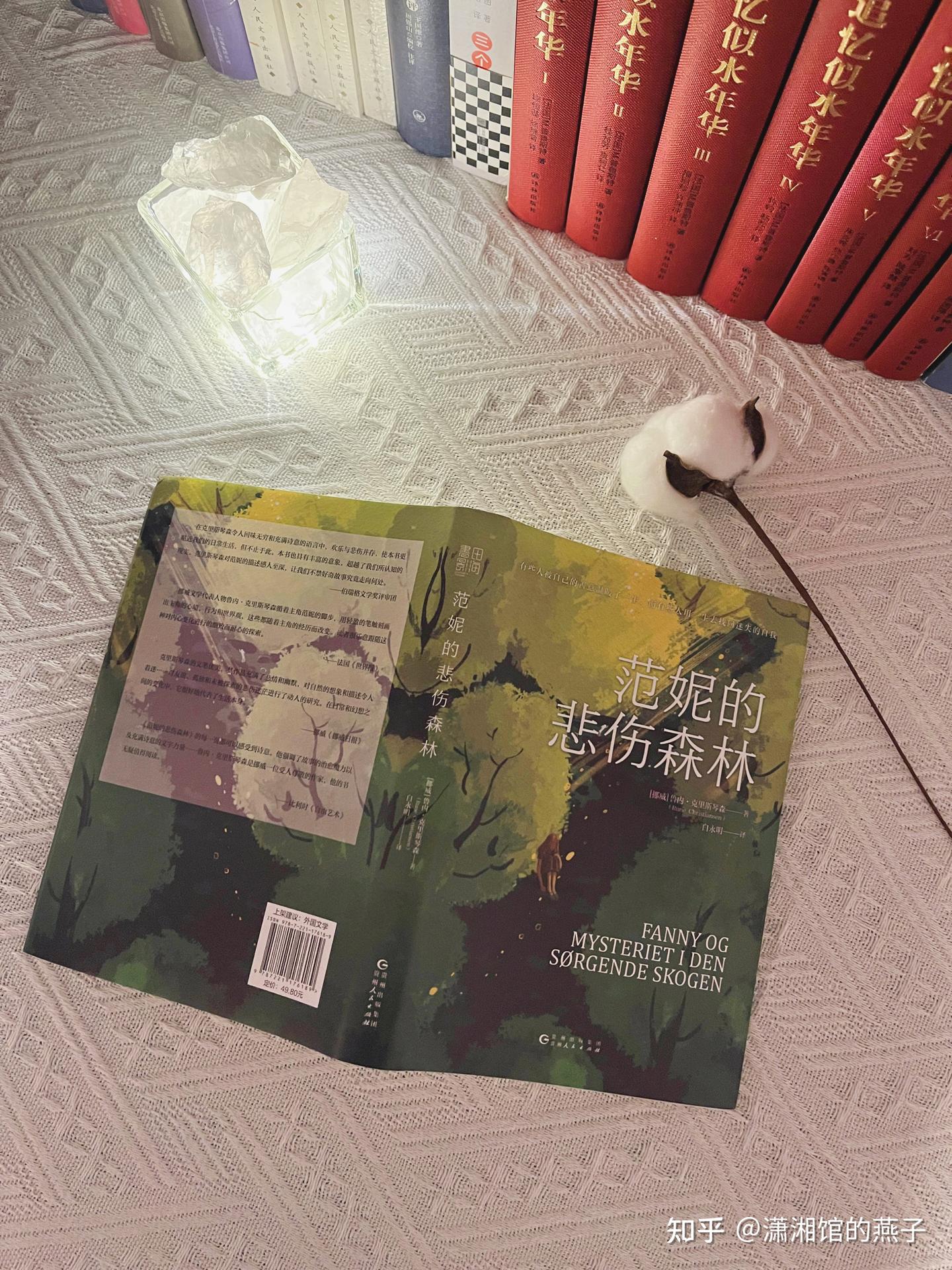 《范妮的悲伤森林》:人最难过的关,是自己那一关 - 知乎