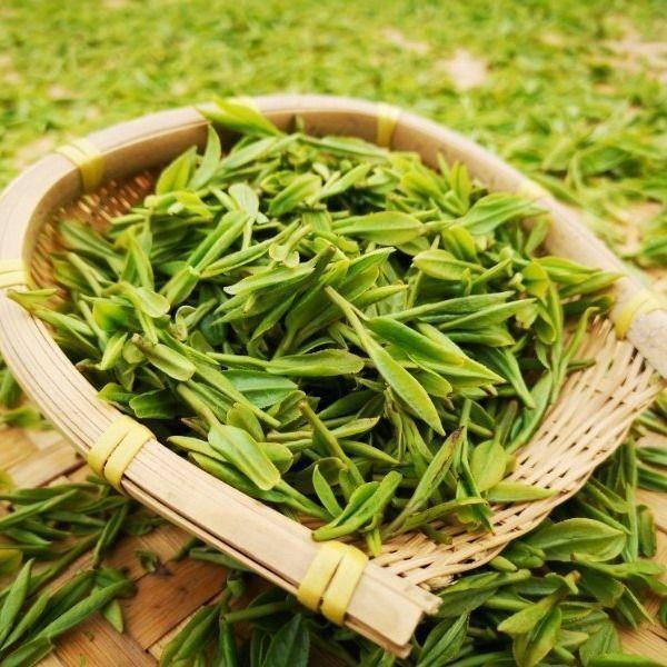 茶叶外传:中国茶四大产区之江南茶区