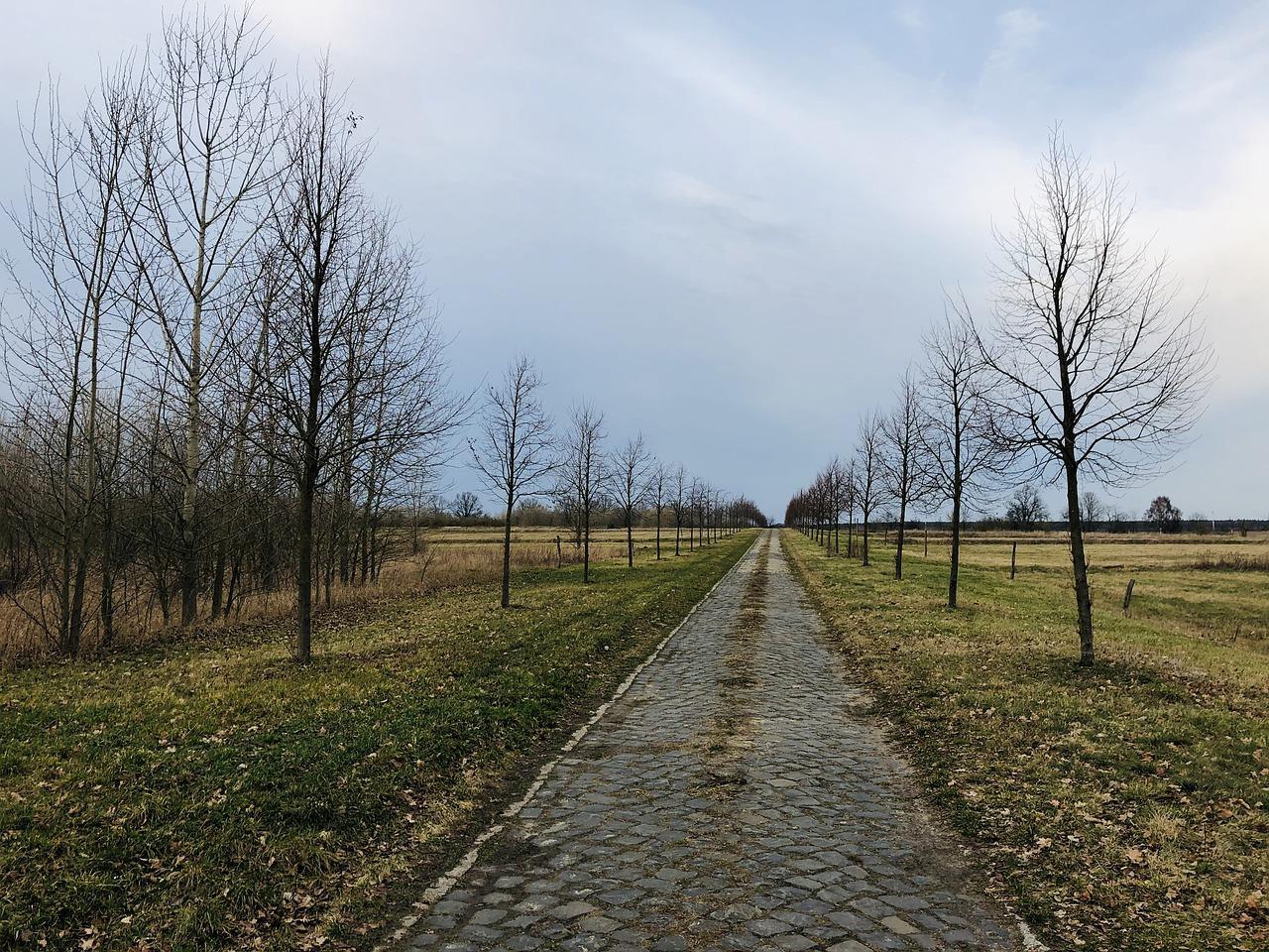 4. 琥珀巷周边配套