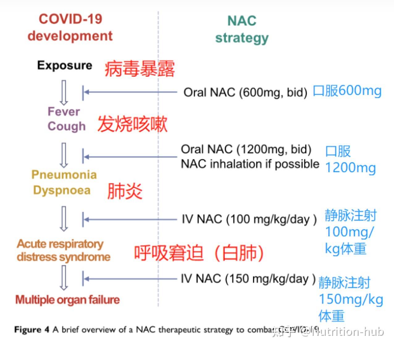 Nac Inhalation 硅谷富豪Bryan补剂清单中的NAC是什么黑科技? - 知乎