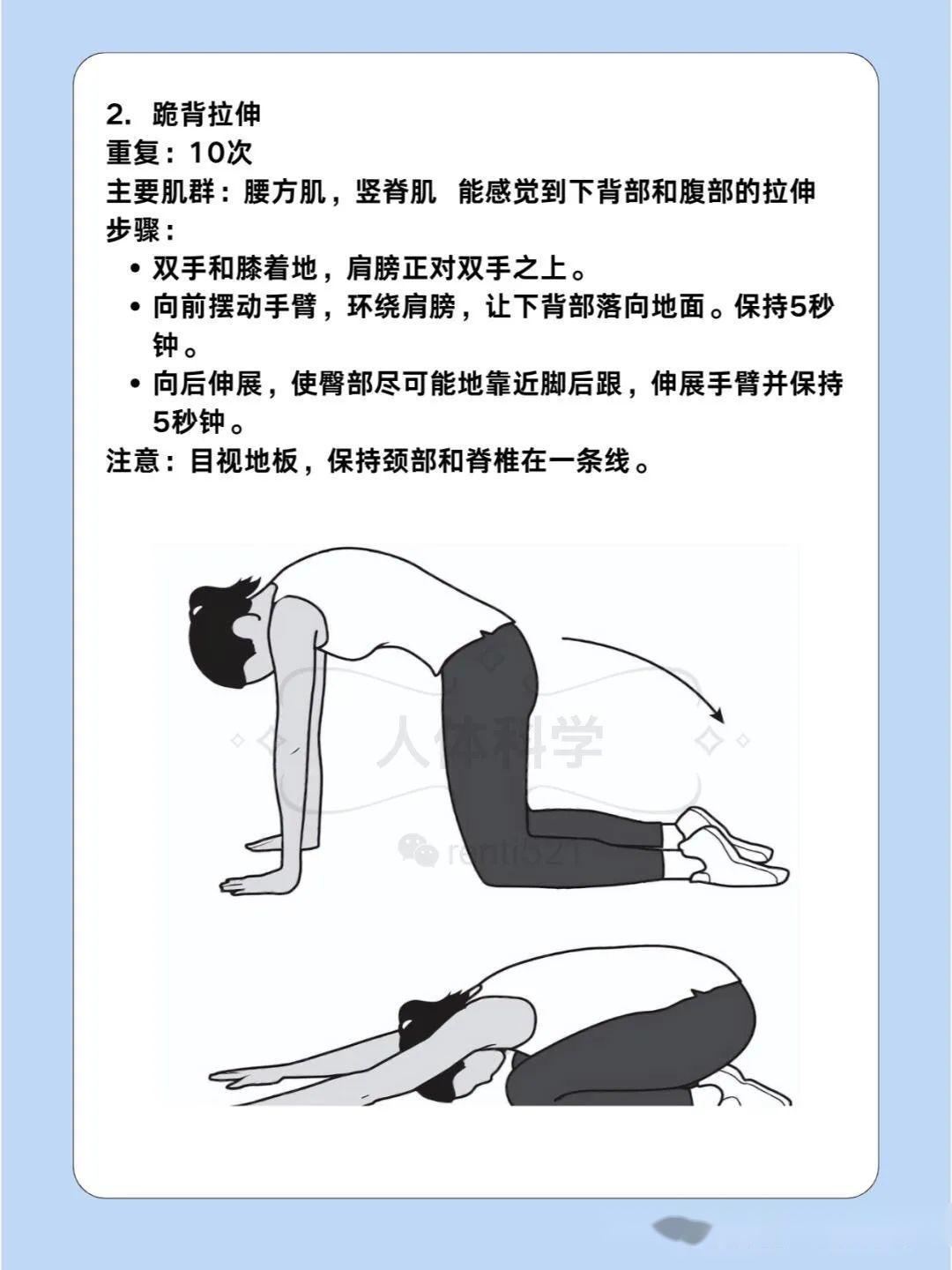 【运动康复】美国骨科协会脊柱康复11个训练动作 - 知乎