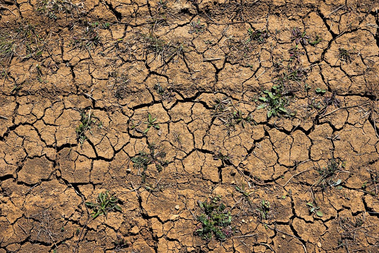 4. 熔融痕迹处理