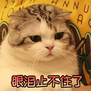 社死了!!!! - 知乎