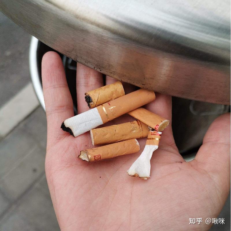 【除二手烟空气净化器业内真话篇】618除二手烟用哪款空气净化器好?空气净化器可以祛除二手烟吗?除二手烟空气净化器保姆级选购攻略:拾梧、美的、东芝热门机型对比推荐