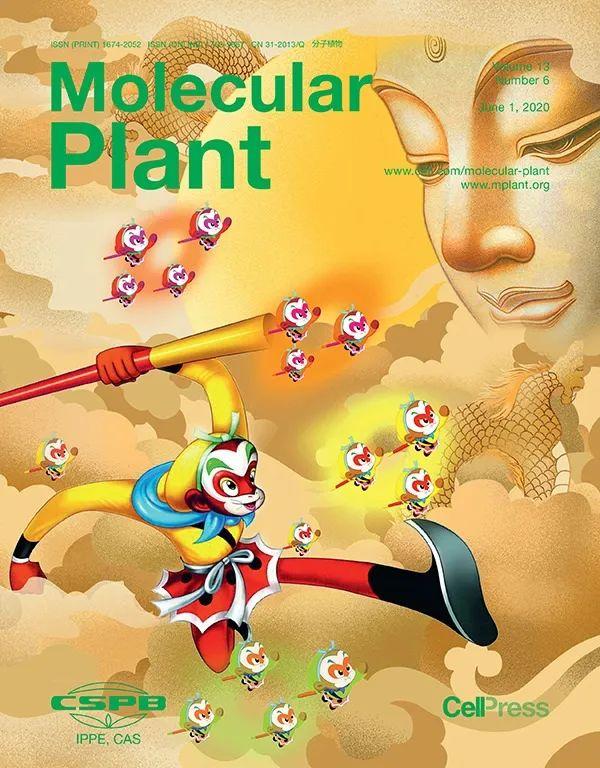 速!带你走进期刊封面的科学与艺术之美! - 知乎