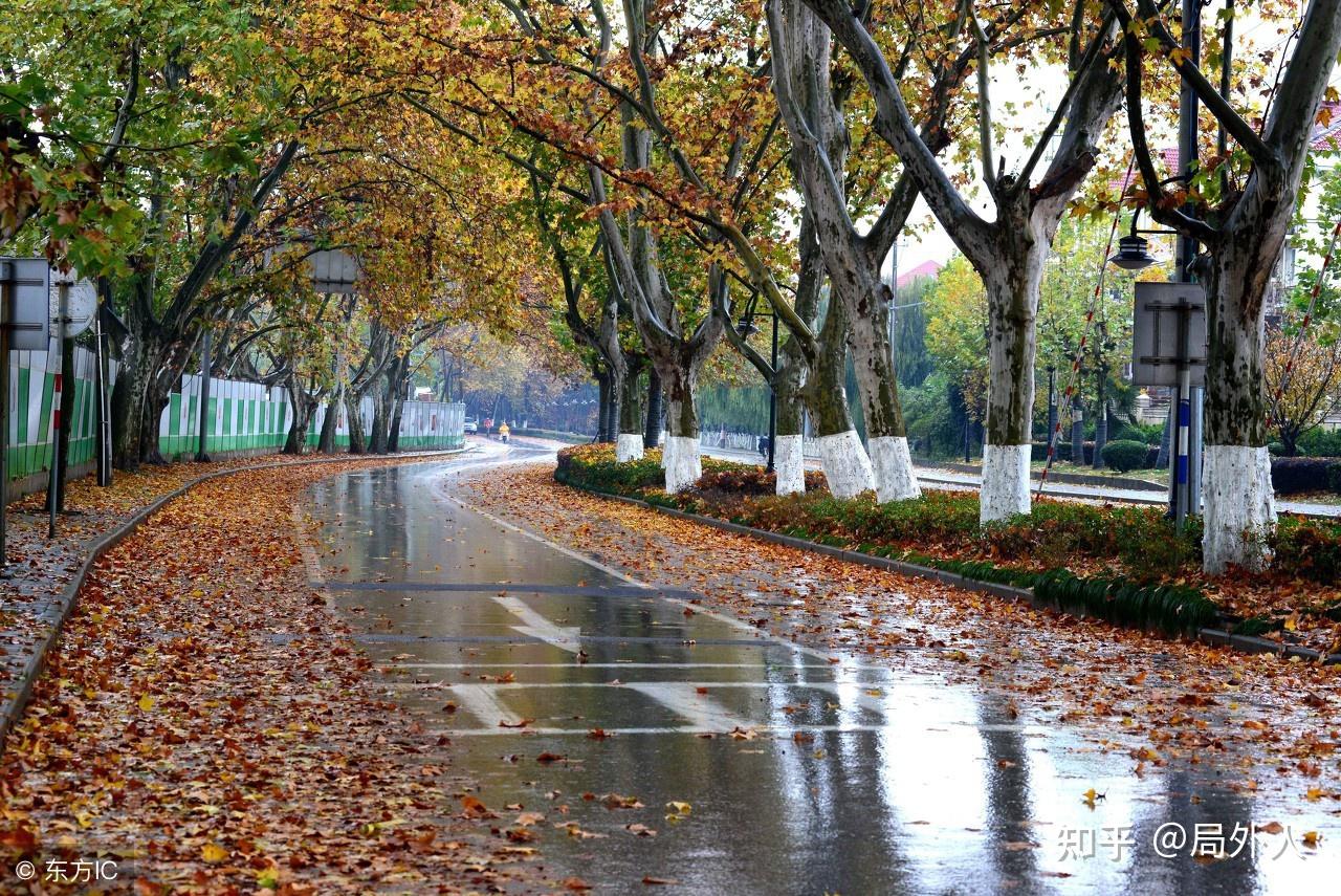 散文《秋雨》中有哪些能触动到你的地方? - 知乎