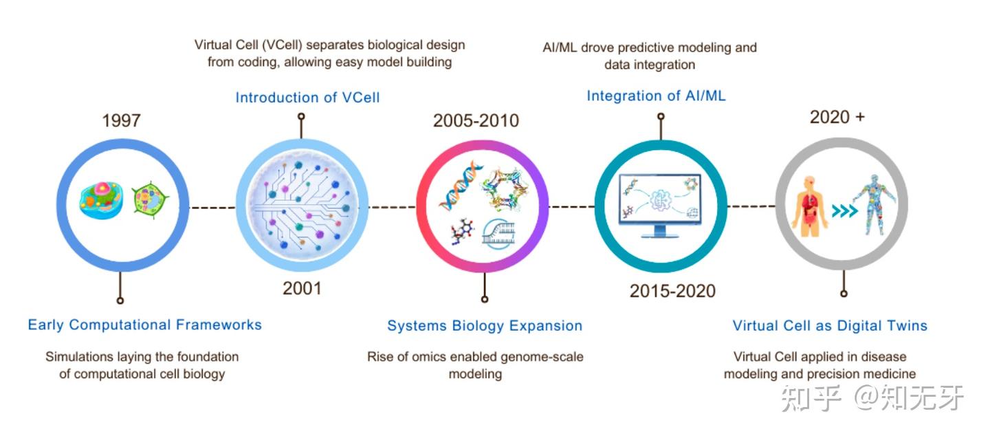 虚拟细胞(Virtual Cells):从概念框架到生物医学应用 - 知乎