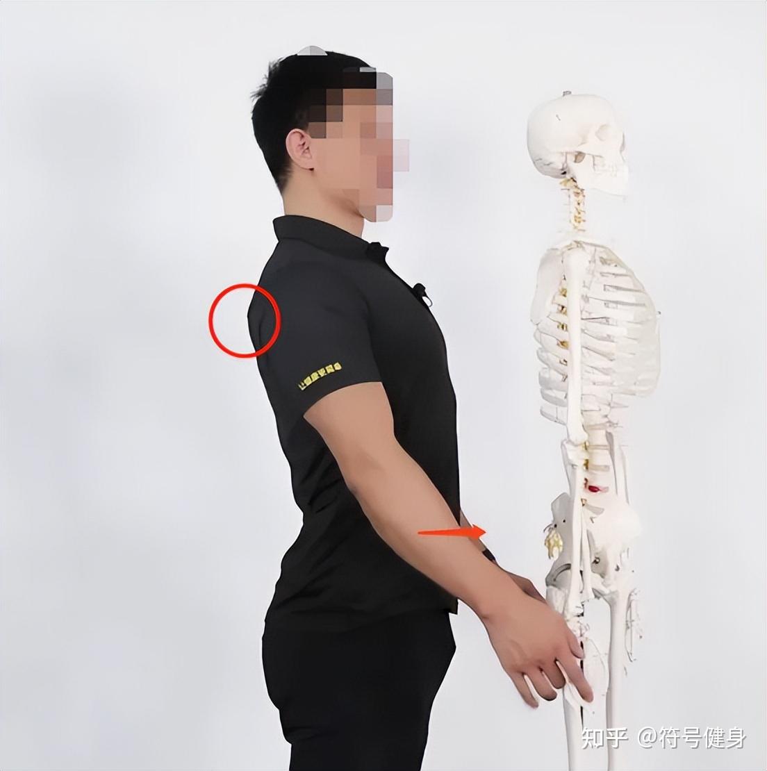 过度挺胸也是一种不良体态——胸椎灵活度的重要性 - 知乎