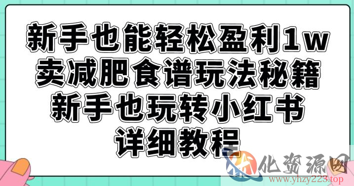 新手也能轻松盈利1w，卖减肥食谱玩法秘籍，新手也玩转小红书详细教程【揭秘】