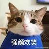臣臣臣丶