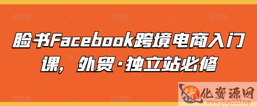 脸书Facebook跨境电商入门课，外贸·独立站必修