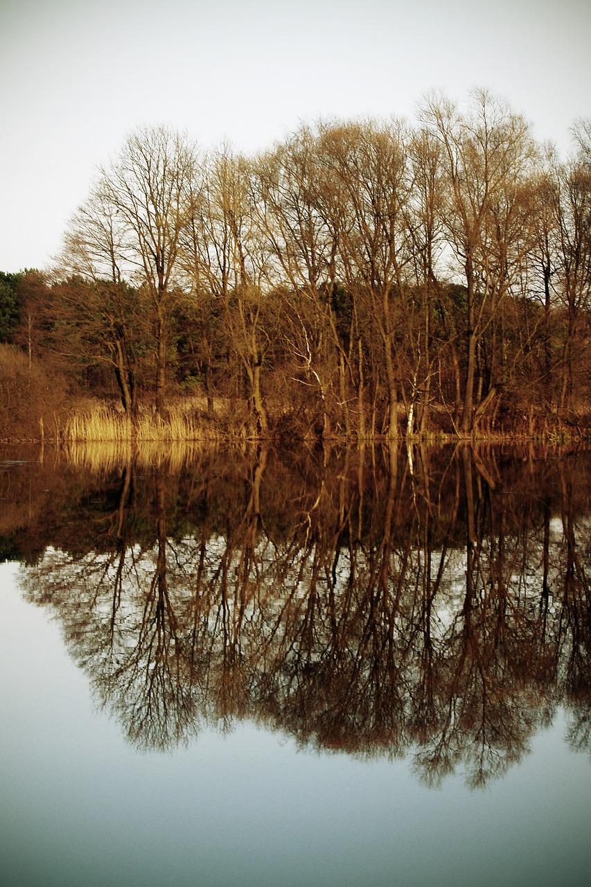 春意盎然,万物复苏