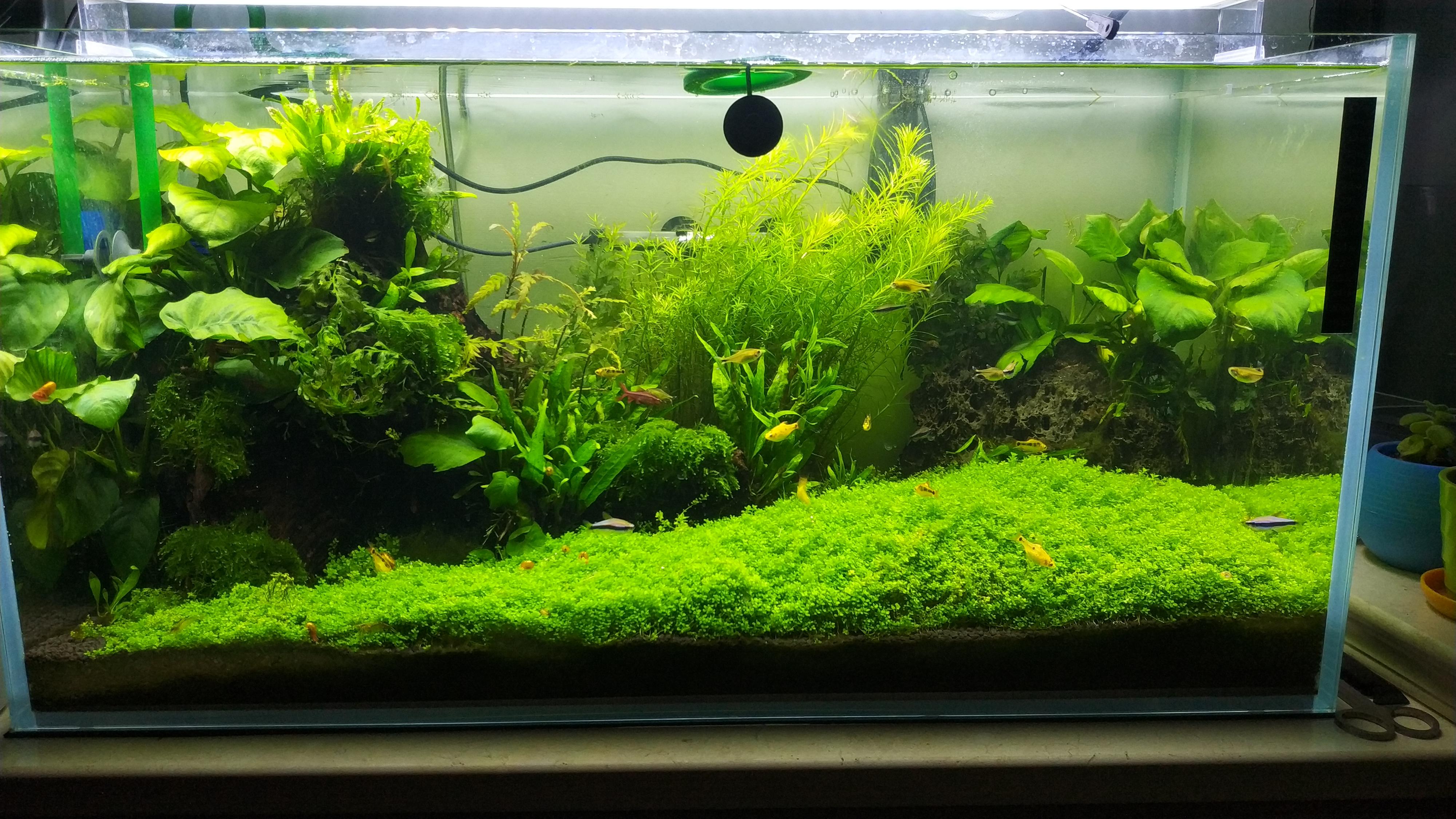 技术官僚- 知乎