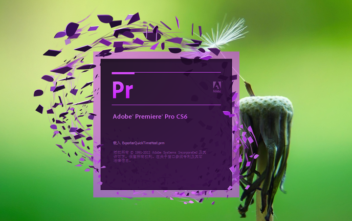 Importerquicktime prm premiere pro ошибка