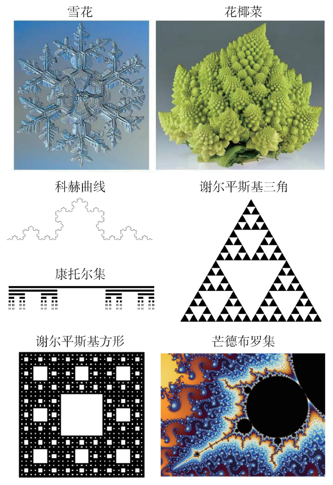 从大自然的分形之美中寻找非凡物态 - 知乎