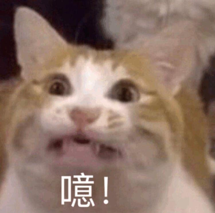 女生为什么聊天特别喜欢发表情包? - 知乎