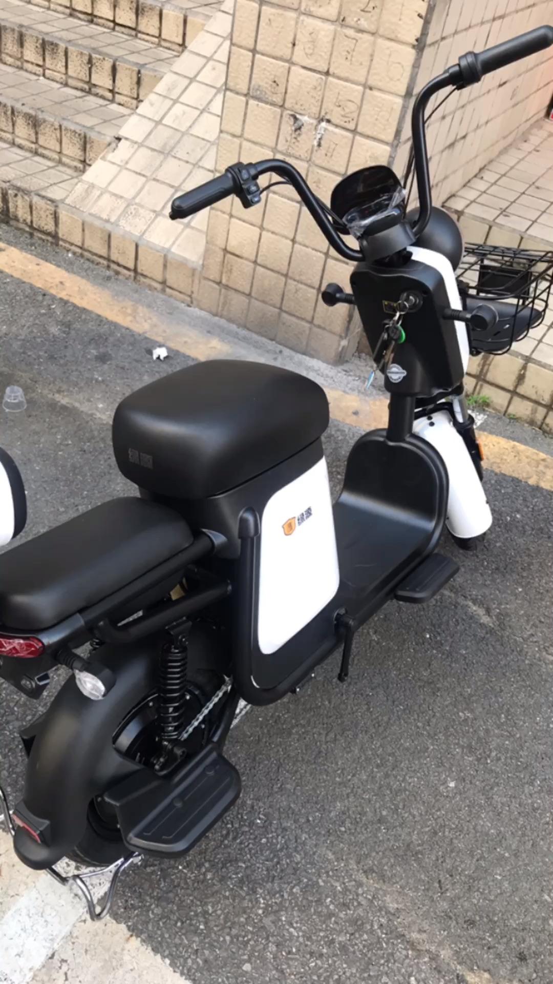 绿源电动车zfb 48v24a