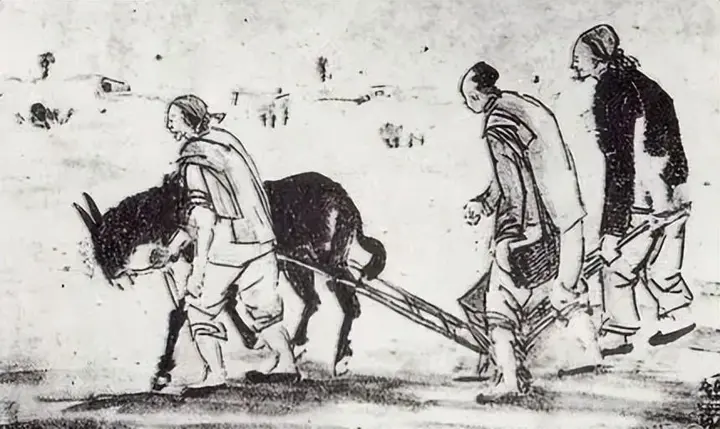 为什么古代农民宁被地主剥削也不去开荒