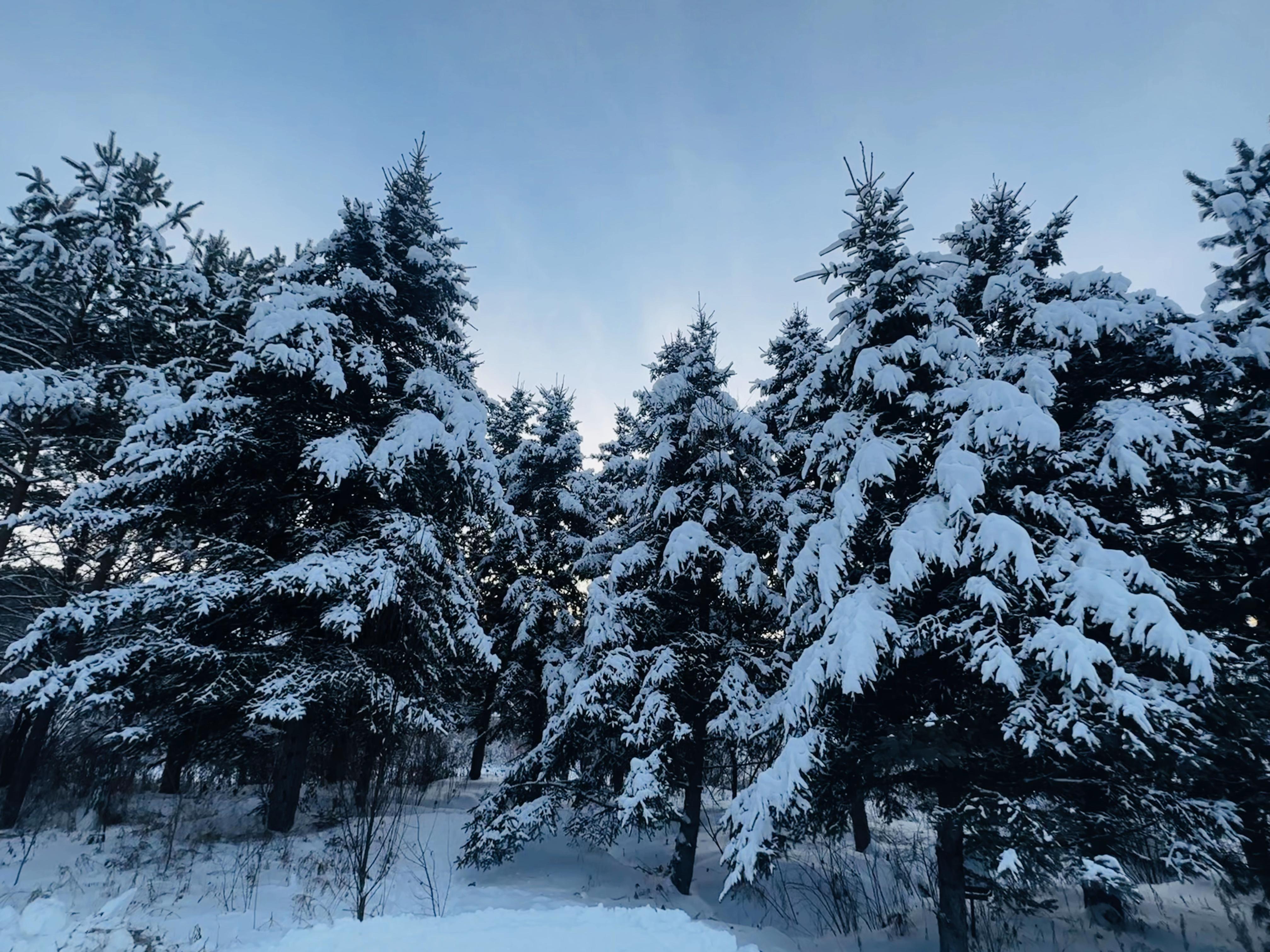 最美的照片雪景图片