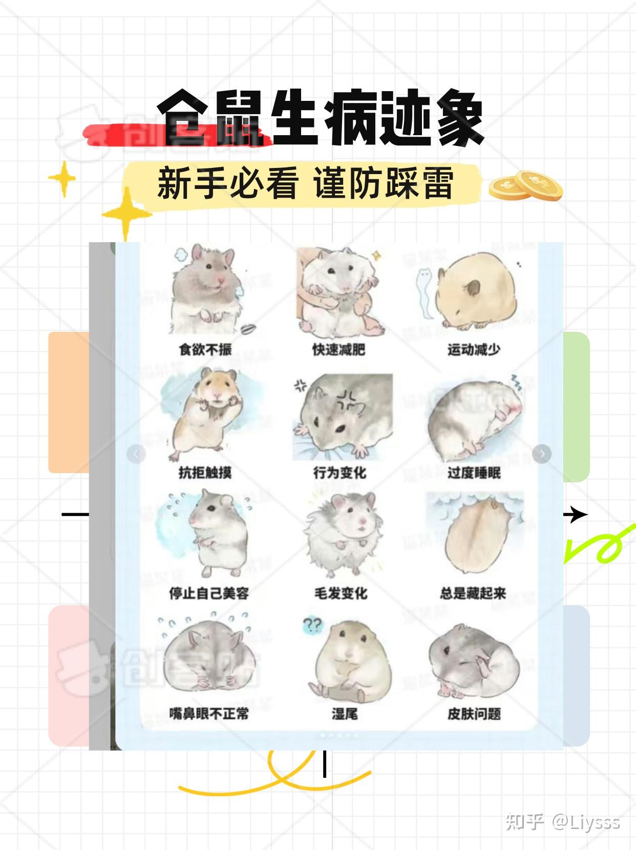 异宠医生真的是最新特别的存在 - 知乎