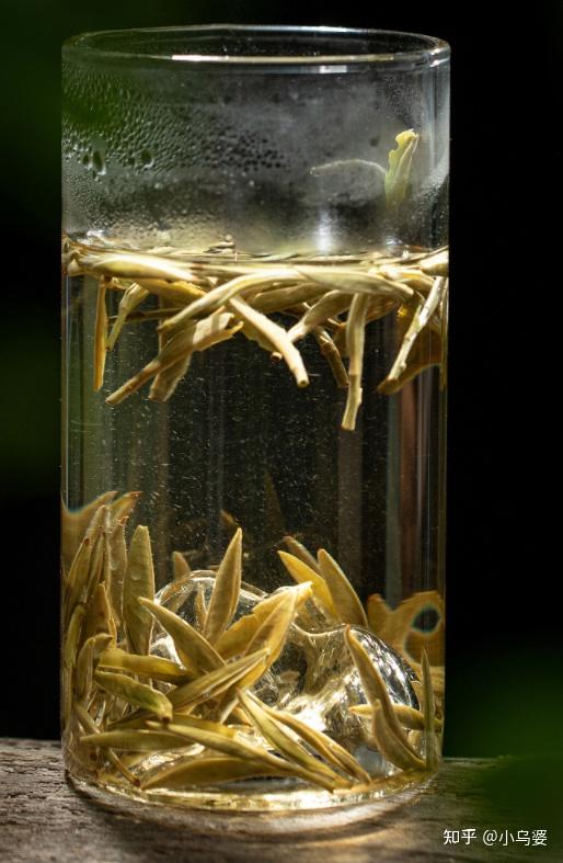 为什么茶叶水里这么多毛