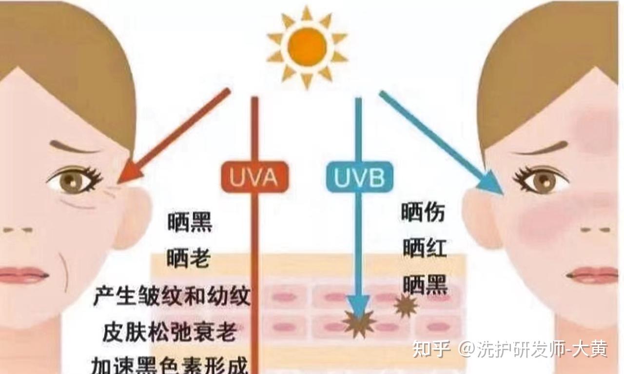 为什么晒黑之后再也白不回来了? - 知乎