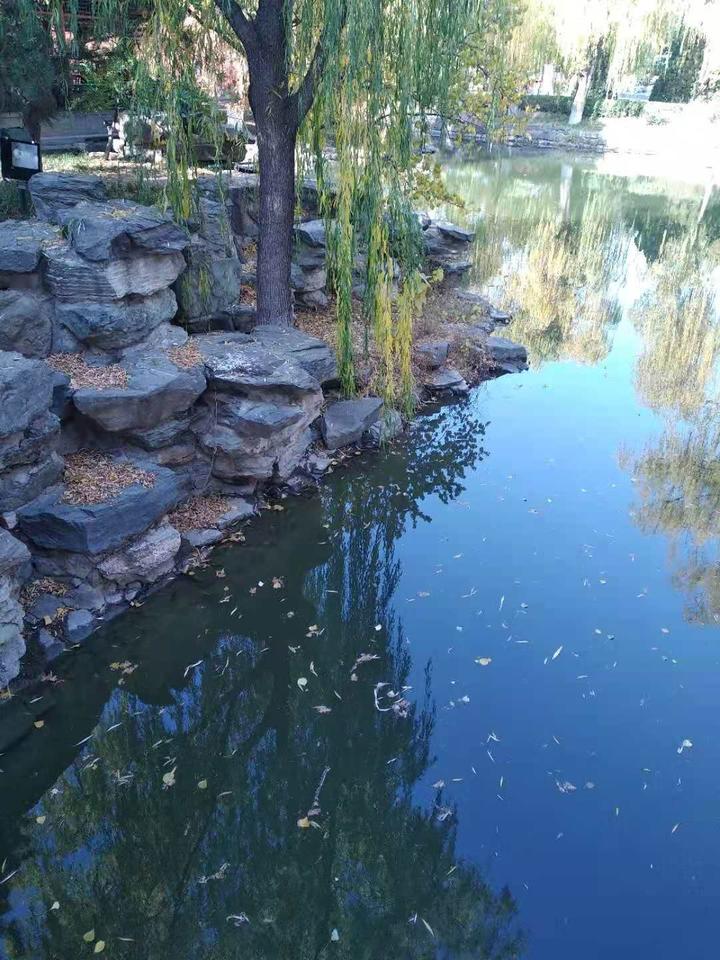 怎样识别君子与小人 - 知乎