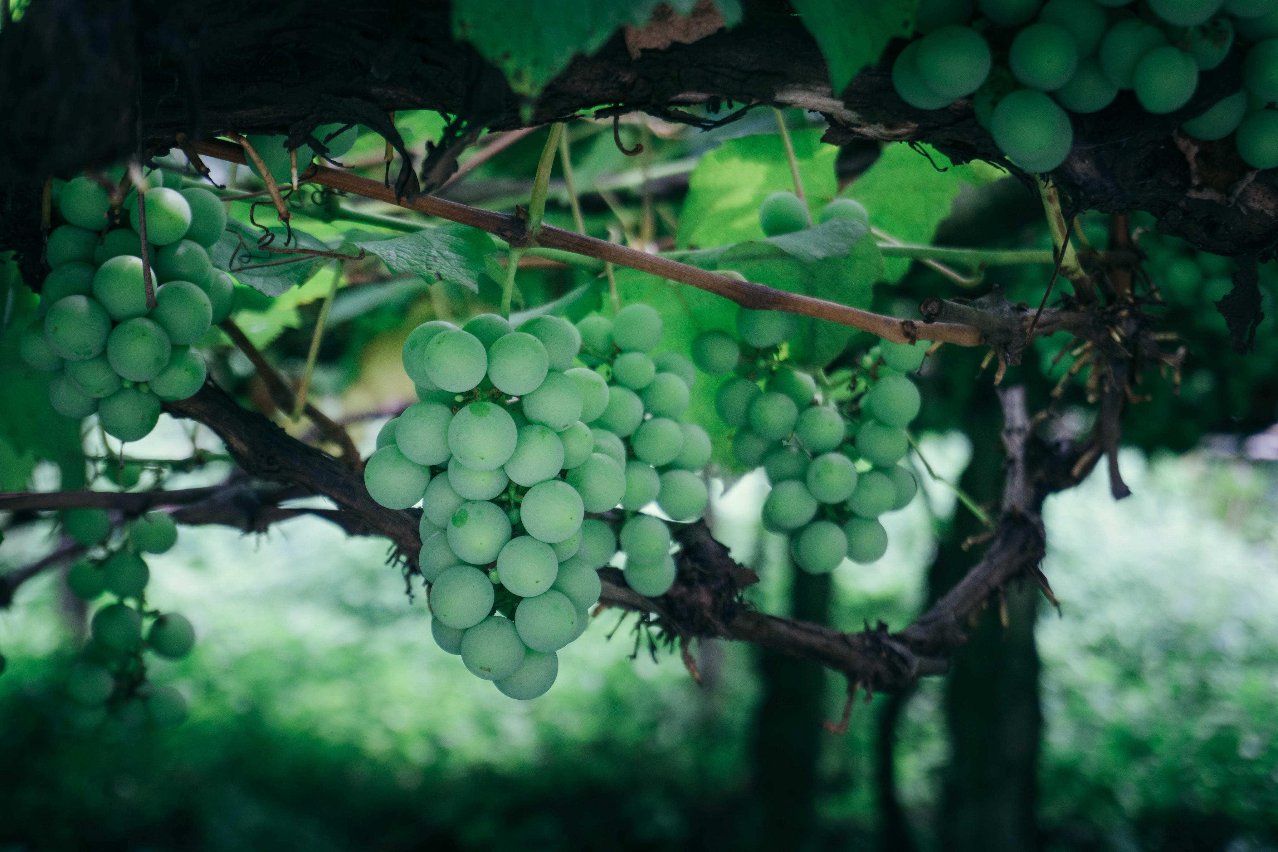 sonynex7现在还值得用吗