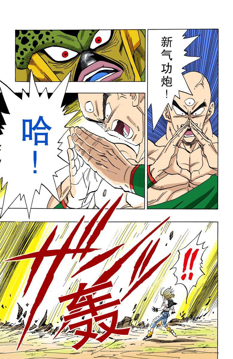 龙珠截止z为止有多少重要角色可被称为武道家