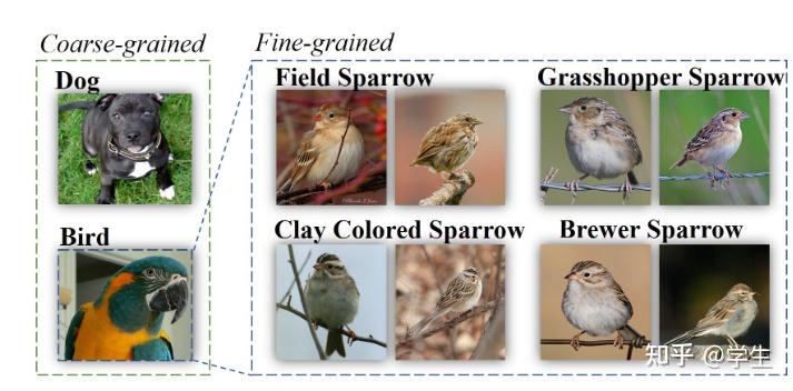 文献阅读：Fine-grained Visual Classiﬁcation with High-temperature Reﬁnement ...
